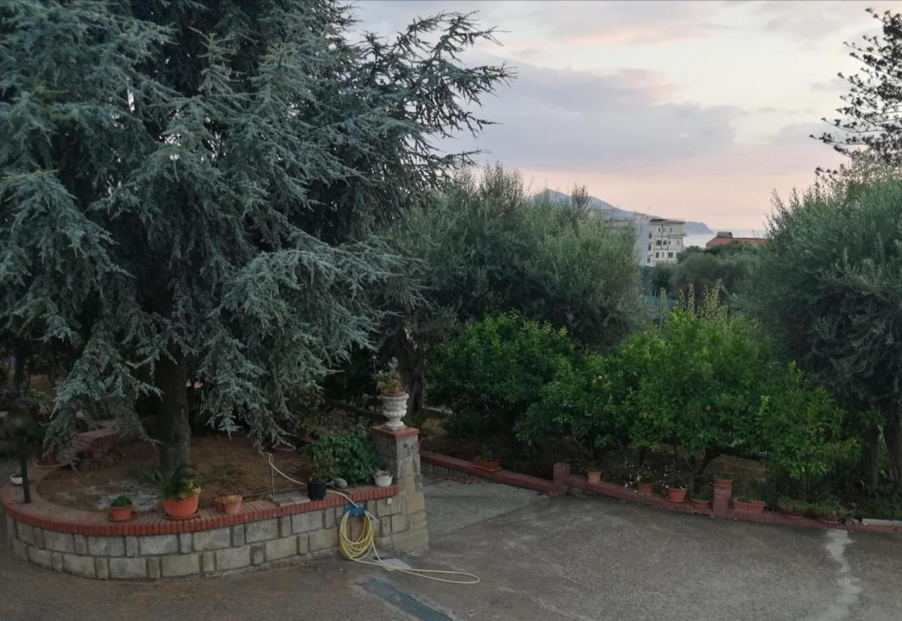 Villa Giannina Massa Lubrense Extérieur photo